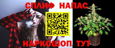 стафф Нальчик