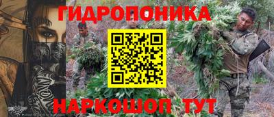 стафф Нальчик