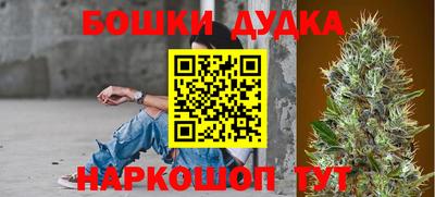 стафф Нальчик