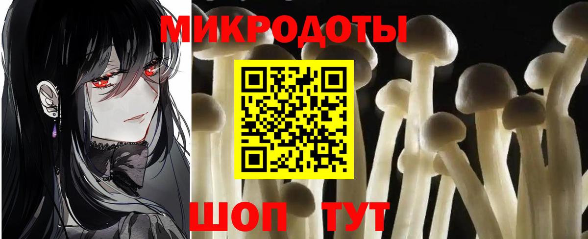 Псилоцибиновые грибы MAGIC MUSHROOMS Чернушка