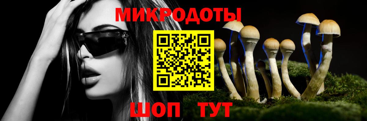 Чернушка  Галлюциногенные грибы мицелий  Вход с VPN 