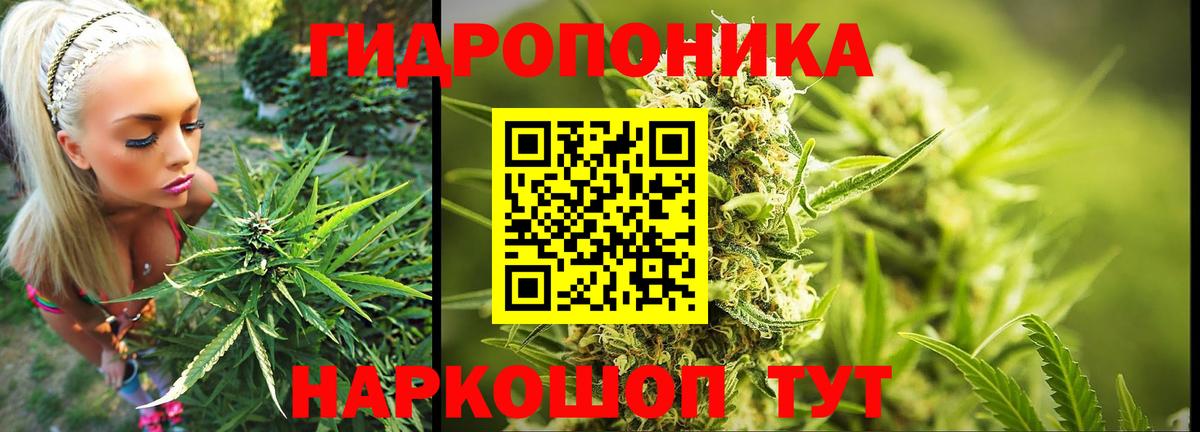 Бошки марихуана гибрид  Бошки Шишки Bruce Banner  Вход с VPN  Чернушка 